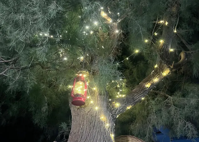 Tree House